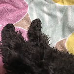 겨울때 찍은건데 너무 귀여워서 이미지