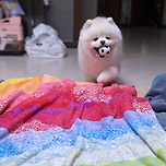 4살 재난이 소개합니다^^;; 이미지