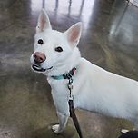 반응 좋아서 추가로 이미지