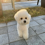 강쥐냥이 자랑하고 상품 받아가융!! 이미지