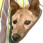 16살 귀염둥이 이미지