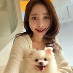 아옳이랑 똑 닮은 아옳이 강아지 이미지