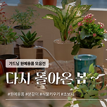 봄이 오니까 식물에 관심이 생겨서 이미지