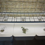 다이소 네트망으로 이번에는 높낮이 조절 식물등만들었어요. 이미지