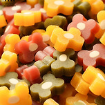 댕냥이 신상 나온 다이소 근황 이미지