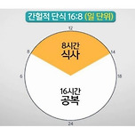 간헐적단식 물 다이어트 방법 및 효과 이미지