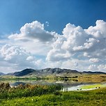 [오늘의 운세] 2023년 7월1일 토요일 띠별‧별자리별 이미지