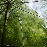 [오늘의 운세] 2023년 7월4일 화요일 띠별‧별자리별 이미지