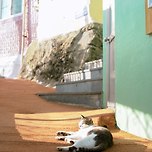 [오늘의 운세] 2023년 7월25일 화요일 띠별‧별자리별/부산날씨 이미지