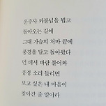 풍경달다 _ 정호승시인 이미지