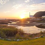 [오늘의 운세] 2023년 7월26일 수요일 띠별‧별자리별/부산날씨 이미지