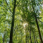 [오늘의 운세] 2023년 6월24일 토요일 띠별‧별자리별 이미지