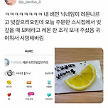 내 배민 닉네임이 레몬나르고 빚갚으리오인데.. 이미지