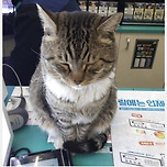 아니 편의점 갔더니 사장이 계산도 못함.. 어이 없네.. 이미지