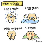 인생이 힘들 때 꿀팁.jpg 이미지