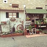 담을 정원으로 꾸민 예쁜 집 이미지