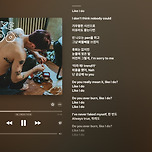 Like I Do 이미지