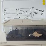 여기 사람이 왜케 없죠...? 이미지