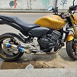 나의 애마들 이미지