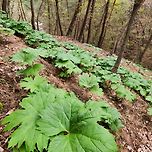 산골농장 이모저모 이미지