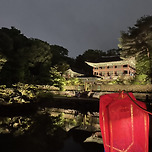 창덕궁 달빛기행 이미지