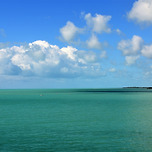 플로리다 이미지