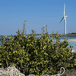 제주에 같은 바다는 없다🏝️ 이미지