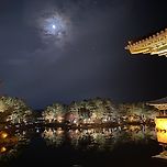 경주여행 이미지