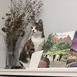 울집 주인님이 도와준 사진 이미지