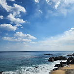 영덕 동해바다 이미지