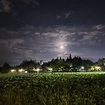 슈퍼문🌕 이미지