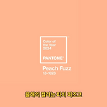 2024년 남자 패션트렌드 총정리(S/S) 이미지