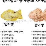 붕어빵 vs 잉어빵 이미지