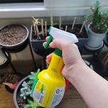 비오킬을 샀다.(식물을 못 키우는 똥손) 이미지