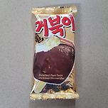 늙었을 적 거북이 이미지