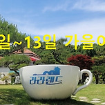 4050 가을여행 갑니다 이미지