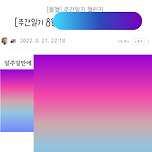 블로그 잘알들아 글자크기 왜 이런지 알아?? 이미지
