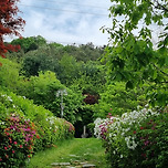 전주시 아중 체련공원 이미지