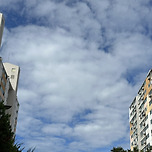 감사한 것들.. 이미지