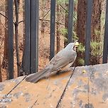 걷는것이 즐겁습니다. 이미지