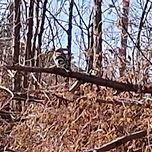 하루에게감사 이미지