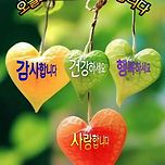 2026년 새해 이미지