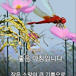 아침 인사. 이미지