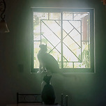 평범한 내 삶을 바꾸며 이미지