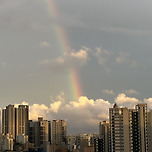 8/29 감사일기 이미지