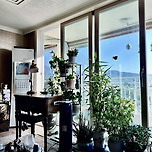 거실 정원🪴 이미지