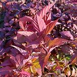 허락해 주신 것 감사 이미지