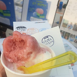 광진광장에서 젤라또주는 축제같은거 함 이미지