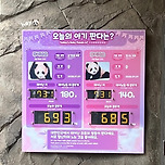 루이바오 후이바오 그리고 푸바오 두 돌때 몸무게 좀 봐 ㅋㅋㅋㅋㅋ 이미지