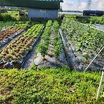 모닝커피 이미지